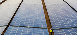 UAE Emerging as Major Investor in Renewables: WSJ